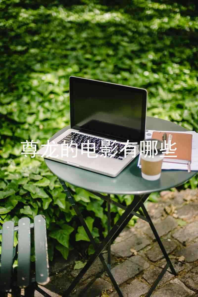 尊龙的电影有哪些